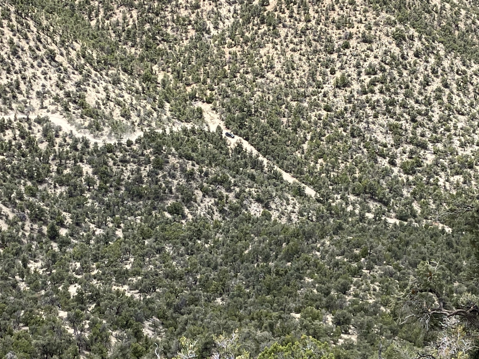 A dirt access road winds through pinyon-juniper hillside terrain in the Great Basin, with an ENLC field vehicle traveling to a monitoring site