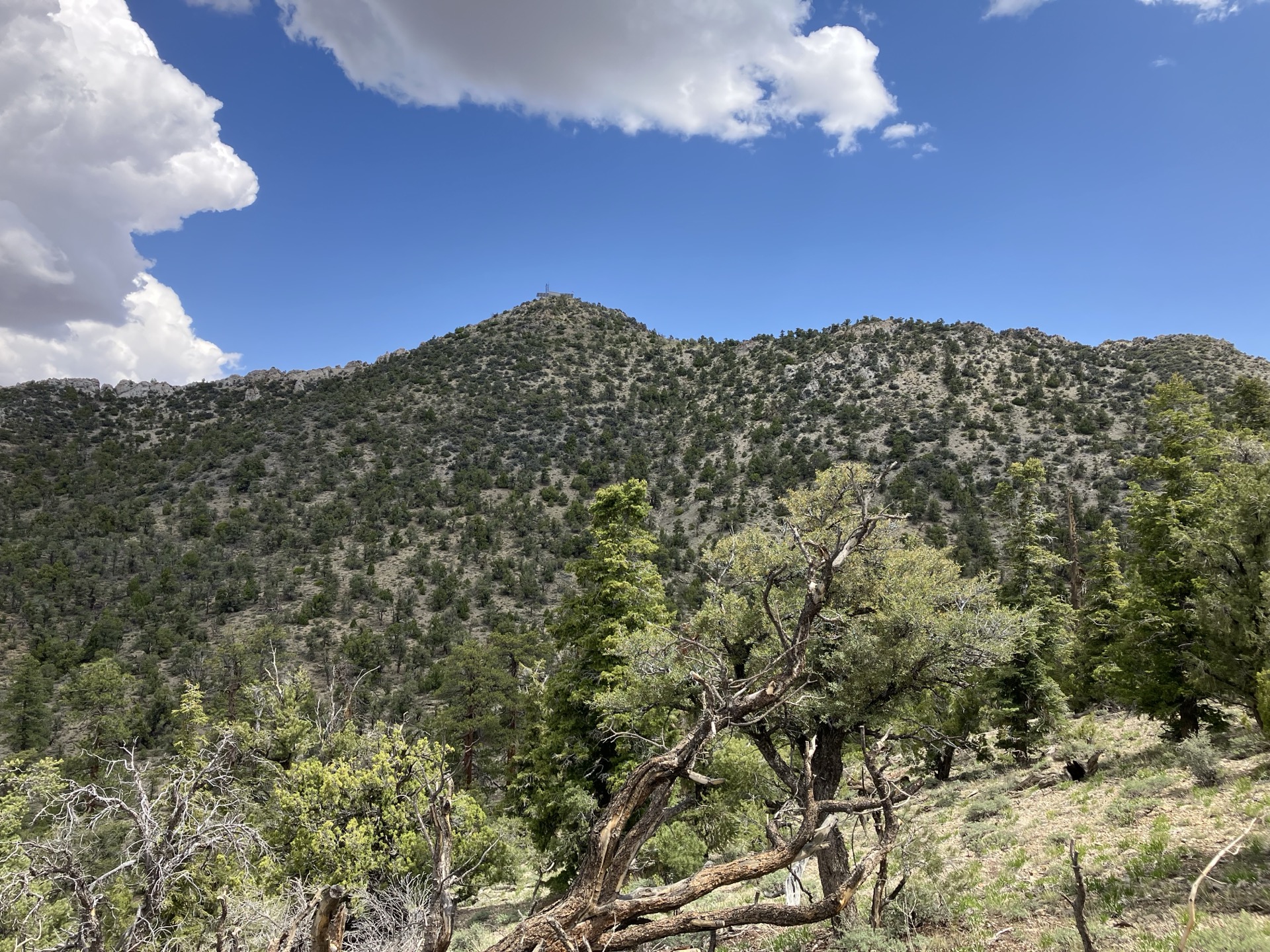 A Great Basin mountain ridge near ENLC's service area, with a communications tower visible at the peak