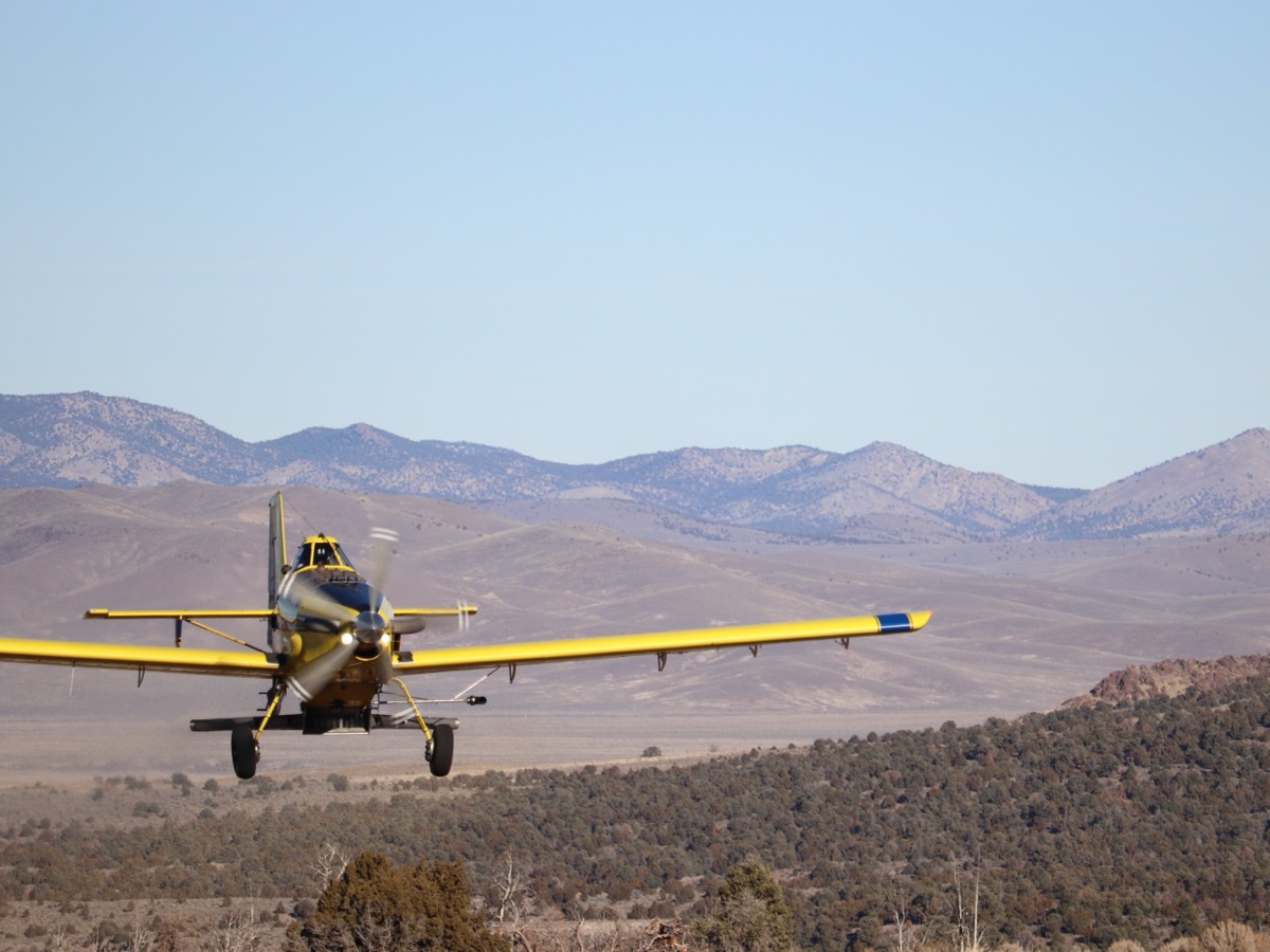 ENLC field crew performs restoration work funded by donations