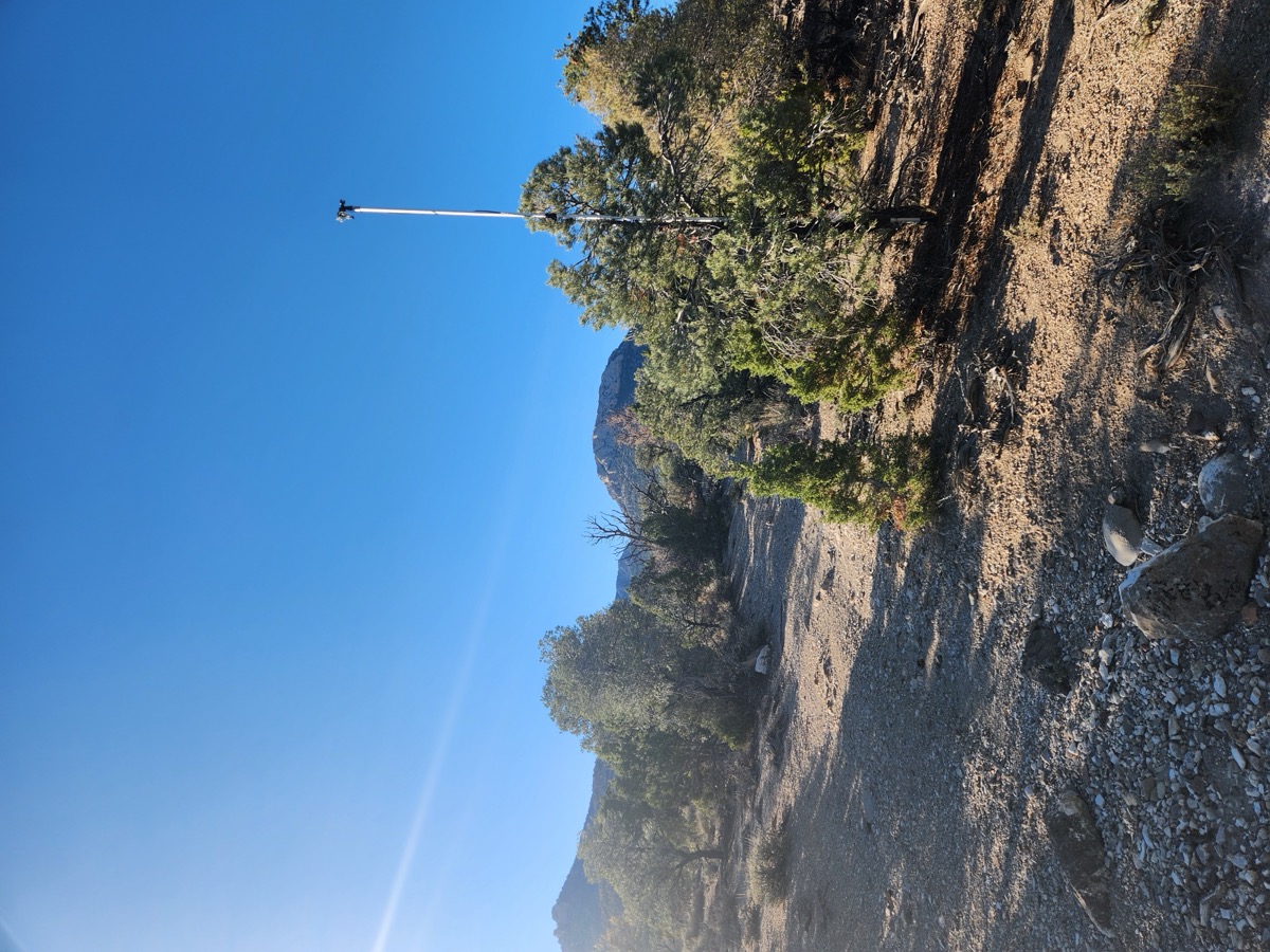 An ENLC biologist records bat data at a monitoring site at dusk