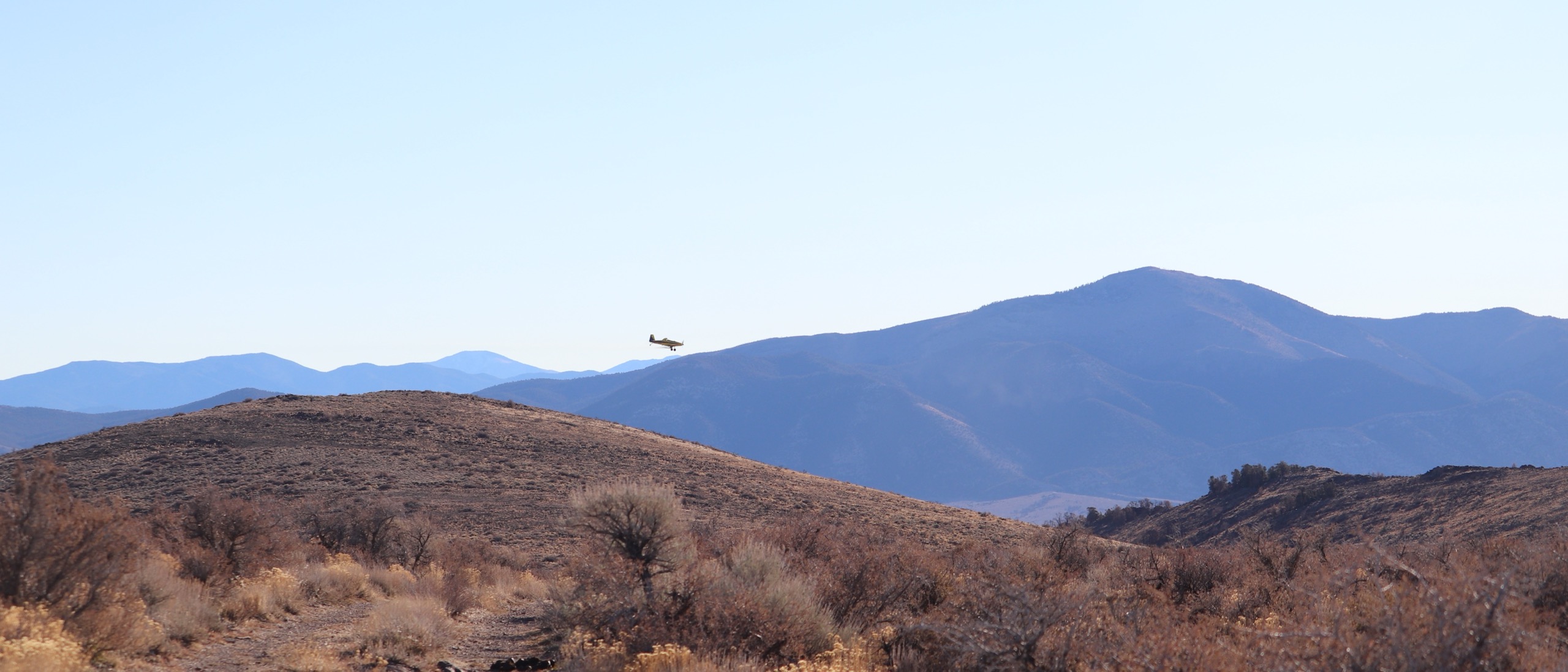 A wide view of restored sagebrush rangeland in the Great Basin