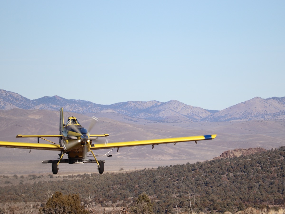 ENLC field team reseeding a post-fire landscape