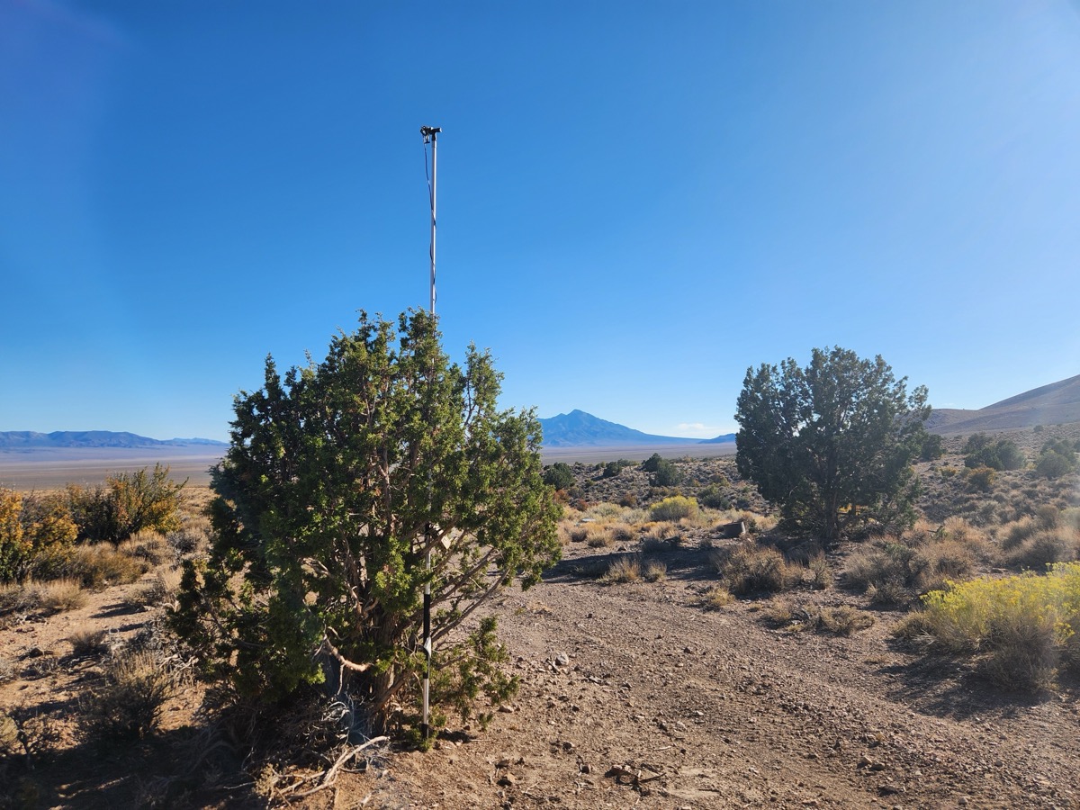 Bat monitoring equipment set up in Basin and Range National Monument